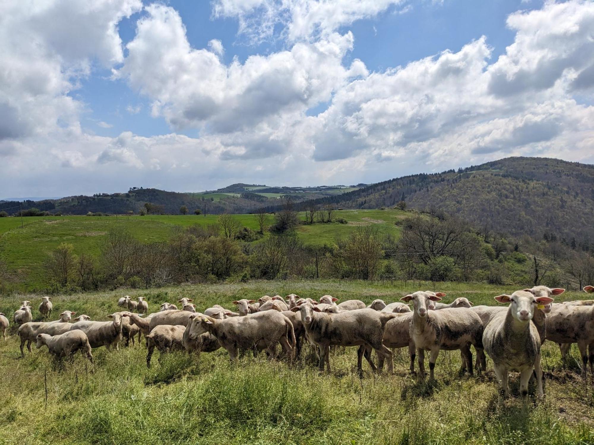 La Grange, Le Hameau Des Volcans - Deconnexion Face A La Vue Saint-Just-pres-Brioude Exterior foto